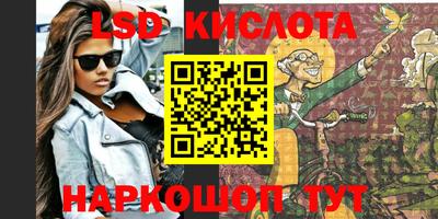 шишки Донской