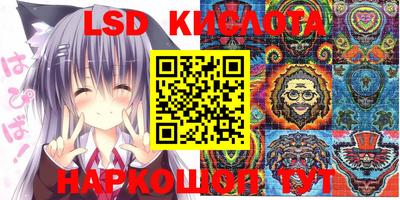 шишки Донской