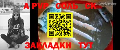 шишки Донской