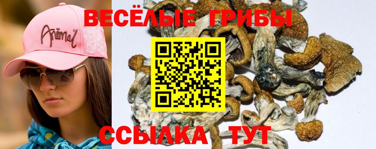 Псилоцибиновые грибы GOLDEN TEACHER Назрань