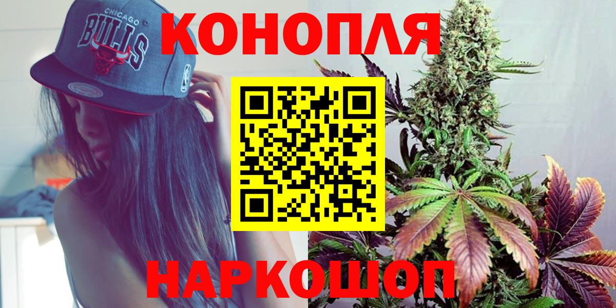 МАРИХУАНА сатива Назрань